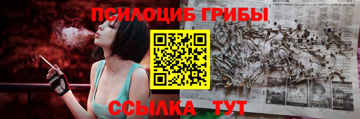 Псилоцибиновые грибы Magic Shrooms  Вход с VPN  Галлюциногенные грибы мухоморы  Гусиноозёрск 